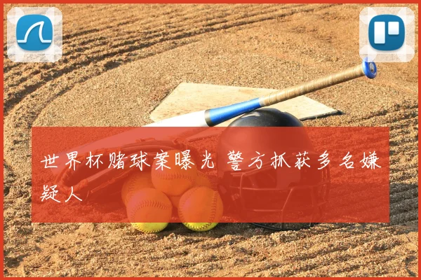 世界杯赌球案曝光 警方抓获多名嫌疑人