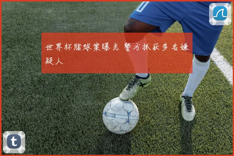 世界杯赌球案曝光 警方抓获多名嫌疑人
