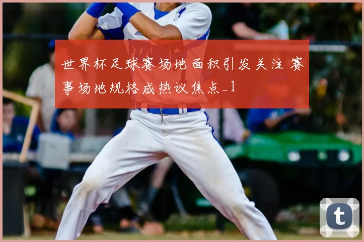 世界杯足球赛场地面积引发关注 赛事场地规格成热议焦点_1