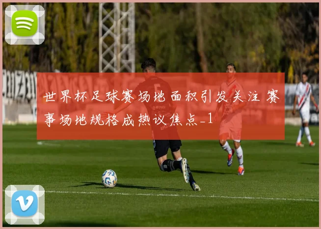 世界杯足球赛场地面积引发关注 赛事场地规格成热议焦点_1