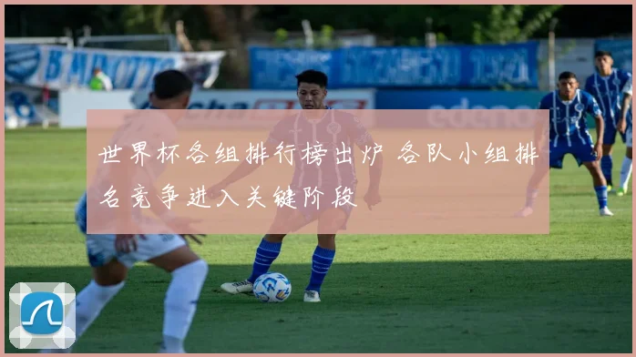 世界杯各组排行榜出炉 各队小组排名竞争进入关键阶段