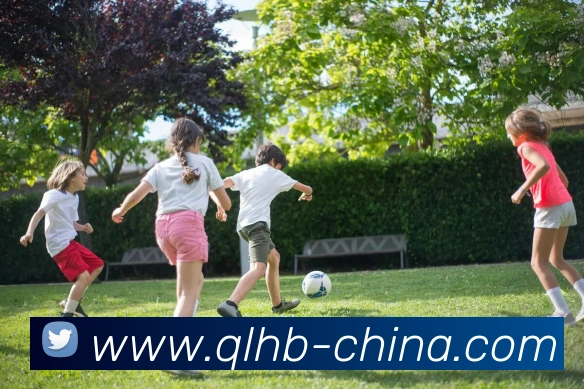 世界杯官方入口发展历程